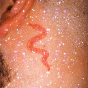 Meet your Posher, Dylan